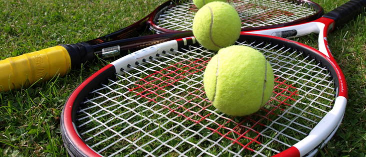 Chuyên cho thuê sân tennis